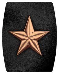 DAREC 430 BZ BK Star Bronze Black